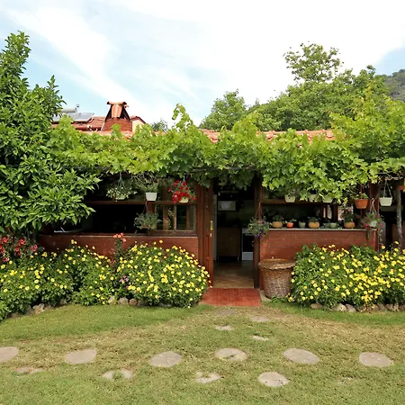 迈达斯膳食旅馆 3*