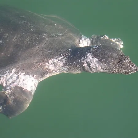 Casa de hóspedes Midas 3*