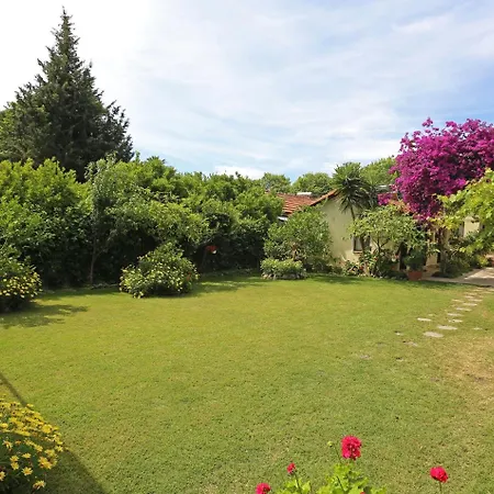 Midas Guest house 3*