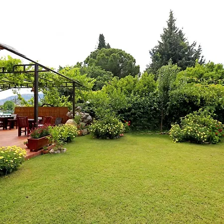 Midas Guest house
