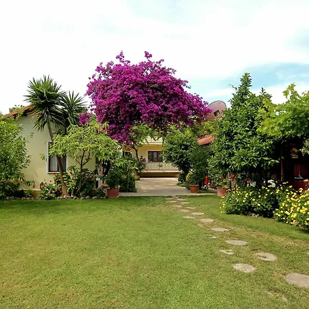 Midas Guest house 2*